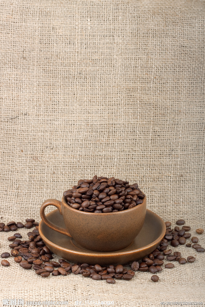 咖啡豆的知識要點：如何選擇新鮮咖啡豆？不同長相的咖啡區別在哪
