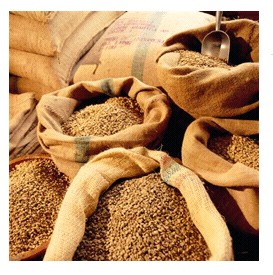 世界精品咖啡莊園豆：印尼蘇門答臘曼特寧 濃郁的醇度活潑的動感