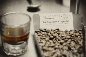 巴拿馬翡翠莊園 埃斯美拉達莊園 精品咖啡 瑰夏咖啡最新資訊