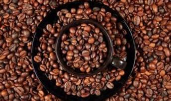 咖啡豆知識要點;混合咖啡豆 風味的調色板 感受混合風味挑戰味蕾