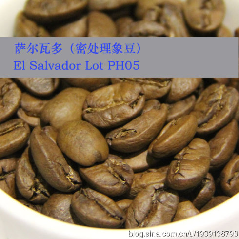 咖啡豆特點：薩爾瓦多咖啡豆風味解析及烘焙程度的分析介紹