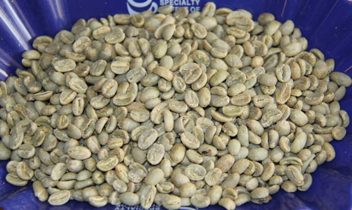 世界精品咖啡豆：衣索比匹 咖法 森林 G2 水洗 Arabica的介紹