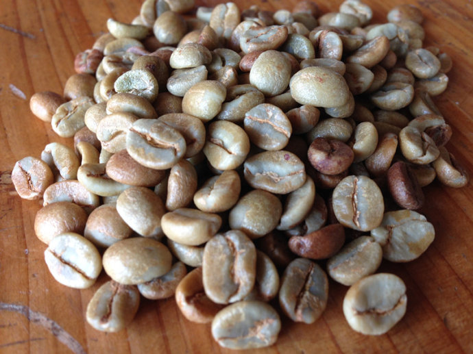 世界精品咖啡莊園：哥斯達黎加拉斯拉哈斯莊園 黑靈魂咖啡豆介紹