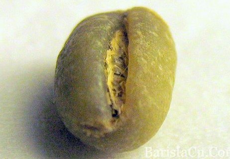 世界精品咖啡莊園牙買加咖啡豆：藍山園豆Mavis bank Peaberry