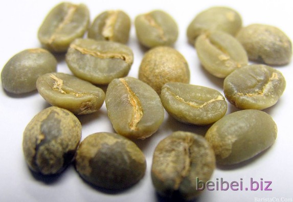 中國雲南莊園產區咖啡豆：雲南小粒咖啡 Bourbon 波邦AA級 生豆