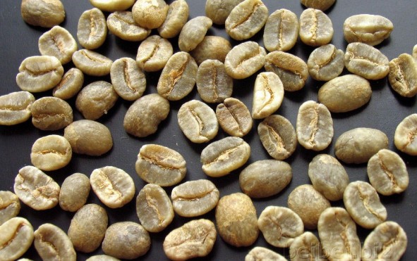 世界精品咖啡莊園哥倫比亞咖啡豆：哥倫比亞SUPREMO級咖啡生豆