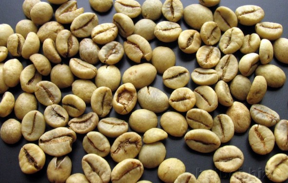 世界精品咖啡莊園印尼咖啡豆:印尼爪哇羅布斯塔生豆的介紹