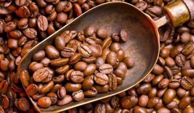 精品咖啡豆 古巴咖啡 古巴水晶山咖啡 最新咖啡資訊 風味獨特