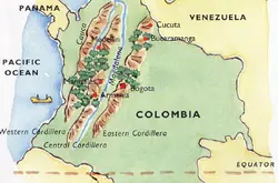 美洲咖啡莊園哥倫比亞產區咖啡生豆蕙蘭 Supremo精品咖啡豆