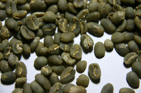 亞洲印尼產區蘇門答臘特級曼特寧 香醇濃郁的特徵性咖啡豆