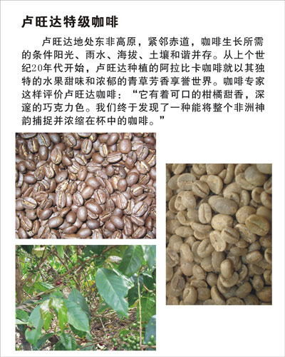 非洲產區盧旺達國家阿拉比卡 香氣喉韻持續濃郁紮實特徵性咖啡豆