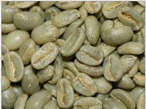非洲產區埃塞俄比亞國家瑰夏 強烈濃郁的水果香味特徵性咖啡豆