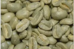非洲產區埃塞俄比亞國家瑰夏 強烈濃郁的水果香味特徵性咖啡豆