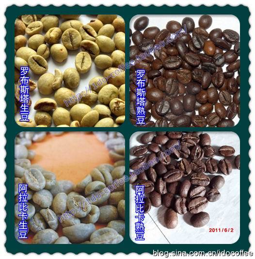 淺談阿拉比卡咖啡與羅布斯塔咖啡之差別 好豆子與壞豆子的區別