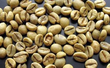亞洲產區也門咖啡豆 摩卡咖啡豆具有滑膩芳香的風味性特徵