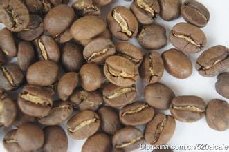 非洲產區津巴布韋咖啡豆 具有口感柔滑爽，帶有馥郁果香風味特徵
