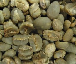 世界精品咖啡豆：19目特級曼特寧 蘇門答臘的虎19目的風味特徵介