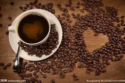 世界咖啡豆認證 什麼是有機咖啡豆？如何正確認證有機咖啡豆？