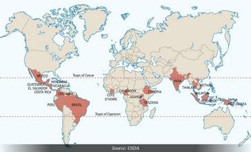 世界咖啡地圖 詳細講解世界咖啡地圖的具體分佈點及地理名字介紹