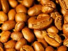 非洲咖啡產區日曬西達摩G1咖啡豆 紅櫻桃計劃（OCR）的詳細介紹