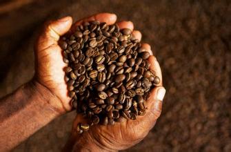 美洲咖啡豆 牙買加產區藍山咖啡豆的風味口感特徵及烘焙程度介紹