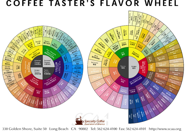 咖啡風味輪是品鑑咖啡風味時非常重要的一個標準 正確使用風味輪