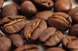 美洲咖啡莊園 危地馬拉產區按提瓜咖啡豆 有香料和煙的香氣