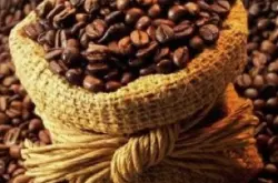 美洲哥倫比亞綠寶石莊園咖啡豆 風味蘊含着豪華香氣與濃郁質感