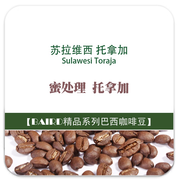 蘇拉維西託拿加Sulawesi Toraja咖啡豆 Toraja木桶怎麼泡怎麼喝？