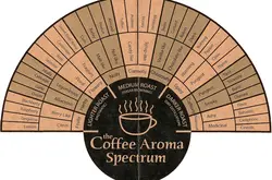 SCAA咖啡杯測流程 咖啡風味輪 咖啡香氣、香味、味道及回味的介紹