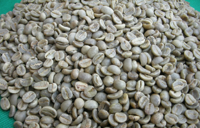 咖啡果實採摘後到咖啡生豆的處理方式 咖啡豆水洗法 與半水洗區別