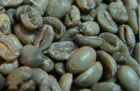 咖啡生豆儲存在倉庫裏所需要的條件是什麼？如何儲存咖啡生豆？