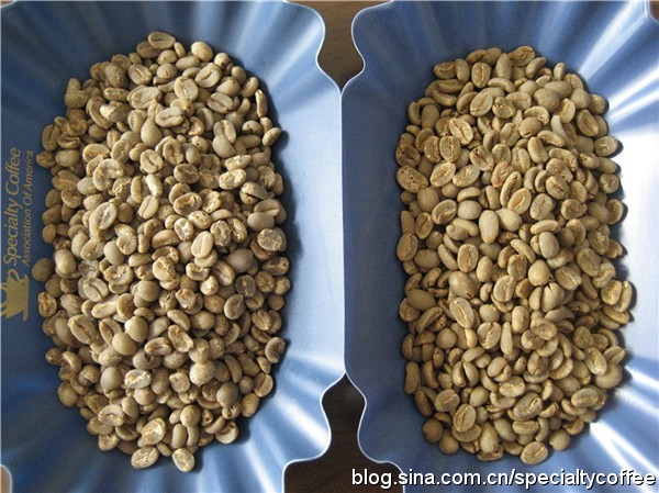 印尼曼特寧G1和黃金曼特寧咖啡豆風味口感特點價格區別