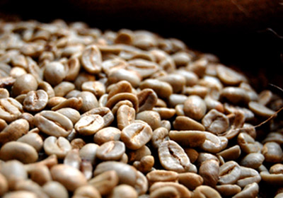 爲什麼要養咖啡豆？咖啡豆爲什麼需要養幾天才喝？理由是什麼？