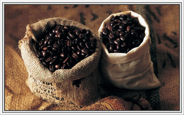 雲南咖啡交易中心上線 雲南普洱咖啡交易中心 咖啡現貨交易 咖啡