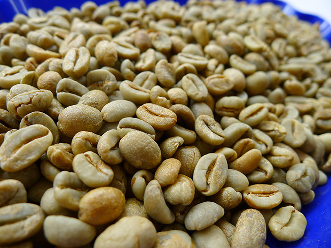 非洲產區坦桑尼亞AA咖啡豆最頂尖代表之一的乞力馬紮羅咖啡豆