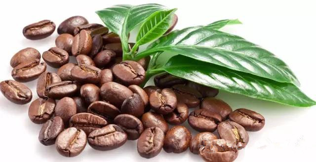 亞洲印度尼西亞的蘇門答臘曼特寧精品咖啡豆的口感和產地介紹