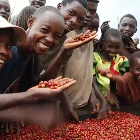 埃塞俄比亞耶加雪菲咖啡豆風味特點介紹 耶加雪菲咖啡豆口感