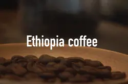 埃塞俄比亞咖啡豆爲什麼大小不一 埃塞俄比亞咖啡品種介紹  埃塞