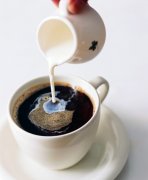 咖啡輔料總概述