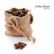 咖啡豆也有公母之分？