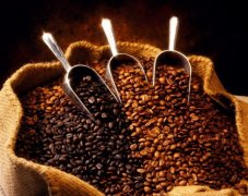 咖啡樹在世界各地的分佈