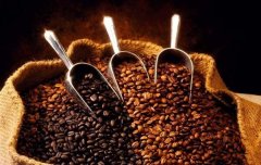 在美國關於精品咖啡的判斷標準