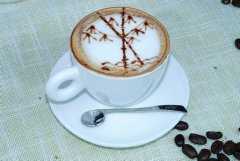 咖啡培訓—什麼是雨林聯盟認證?