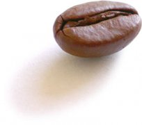咖啡豆的出油與新鮮度的介紹