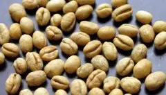 坦桑尼亞PB咖啡生豆/Peaberry圓豆