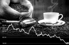 雲南咖啡豆滯銷或爲假象信息缺失致咖農茫然