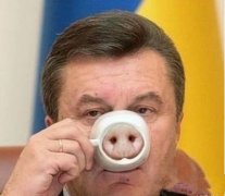 惡搞咖啡杯—豬鼻子杯