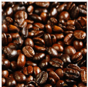 優質咖啡豆該如何鑑別呢？