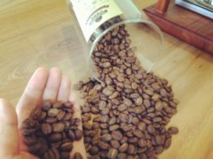 精品咖啡：哥倫比亞慧蘭咖啡豆